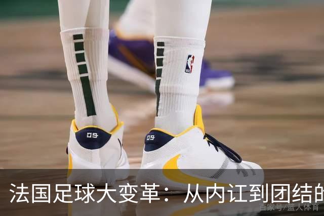 法国足球大变革：从内讧到团结的漫漫征途
